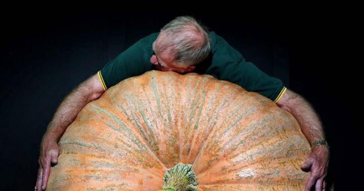 Giant vegetables What is the largest carrot in the world